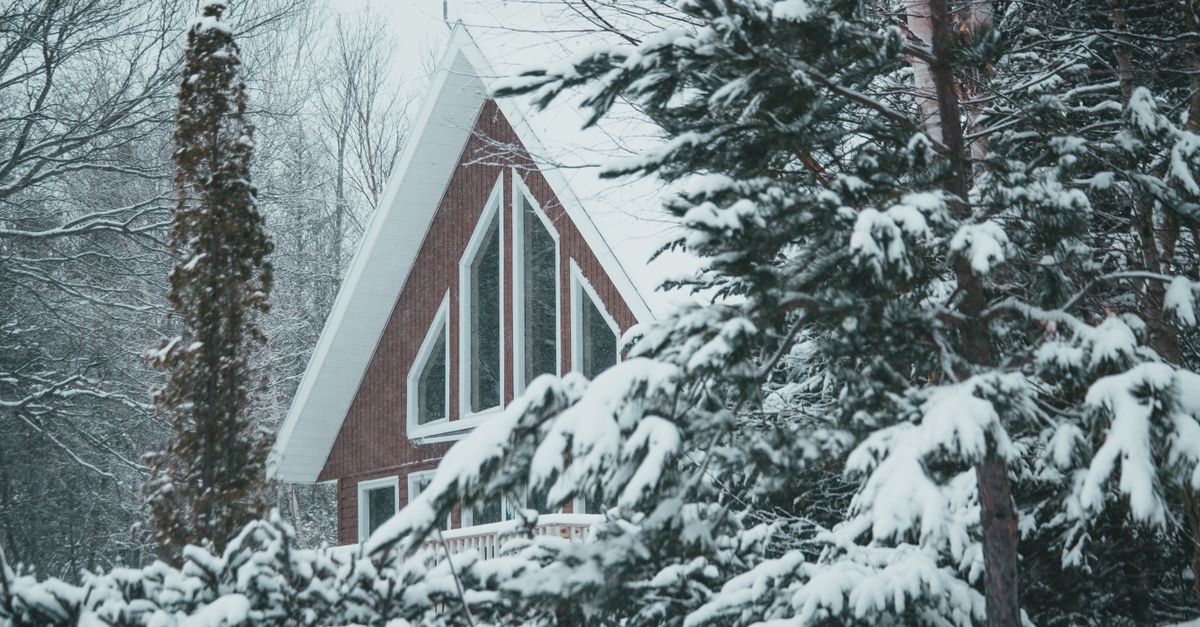 Snowy roof of modern cottage placed among trees in winter forest in countryside in daylight