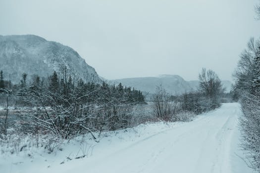 Picturesque landscape of empty frozen road placed among trees against hills covered with snow in winter time in daylight