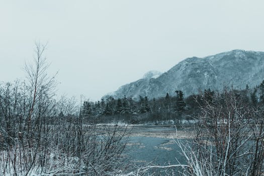 A tranquil winter scene featuring snow-covered mountains and a calm river under a cloudy sky.