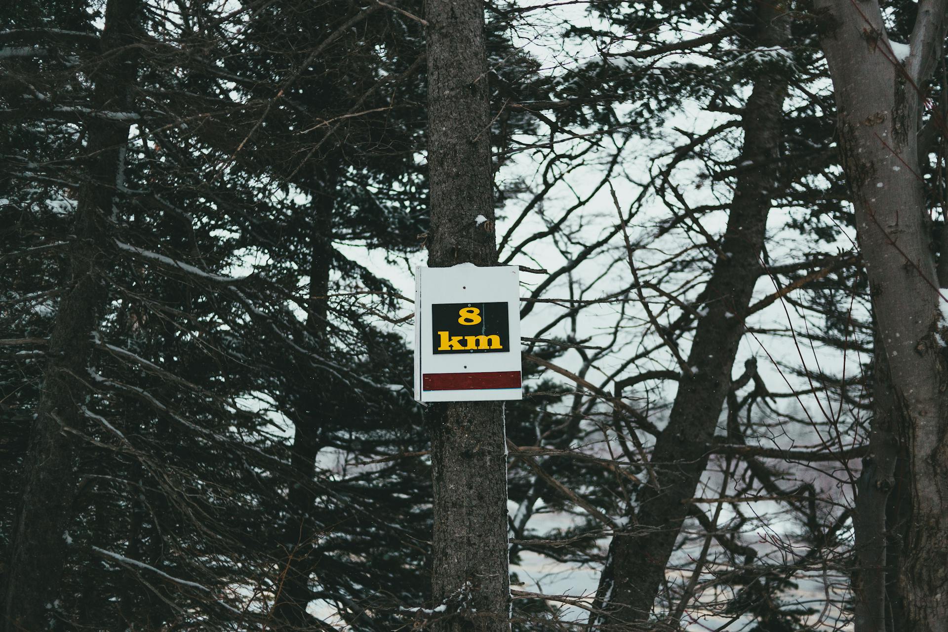 A wooden sign indicating 8 km distance mounted on a tree in a winter forest setting.