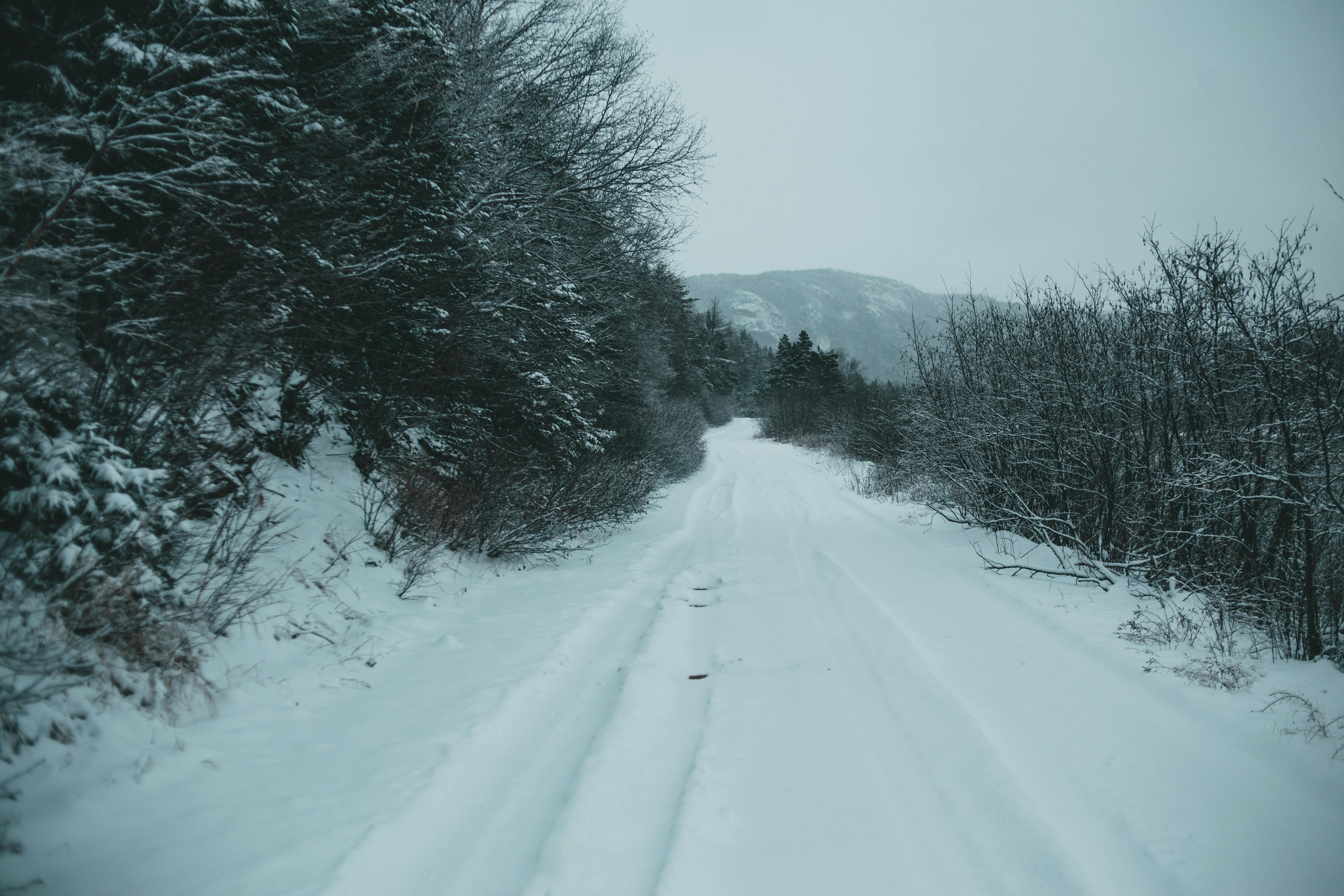Grey Winter Sky Photos, Download The BEST Free Grey Winter Sky Stock ...