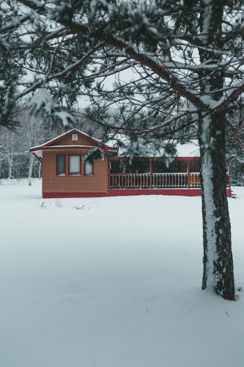Wooden house in snowy yard in forest