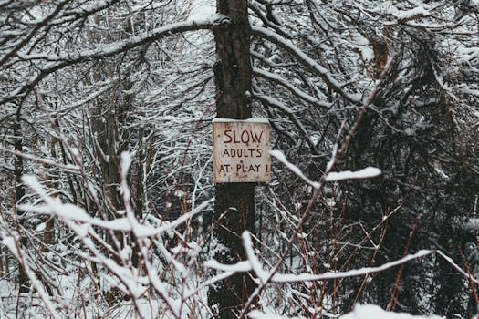 Snow-covered trees with a whimsical caution sign in a serene winter forest.