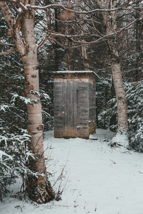 Small wooden structure of toilet in snowy woods of coniferous and deciduous tall trees in winter day