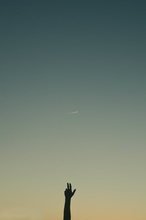 맑은 하늘, 수직 쐈어, 실루엣의 무료 스톡 사진