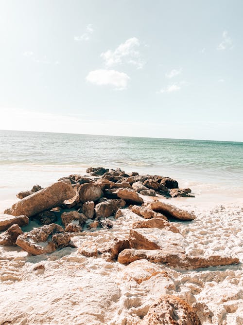 Florida, kayalar, kıyı doğası içeren Ücretsiz stok fotoğraf