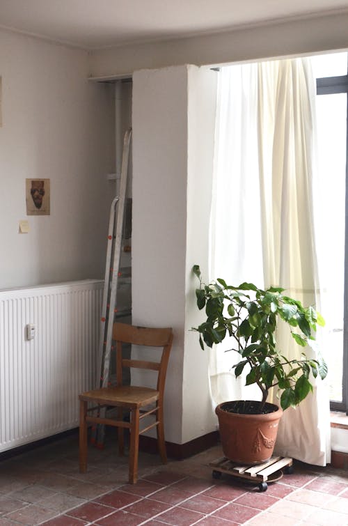 Interior of room with potted plant and chair near window