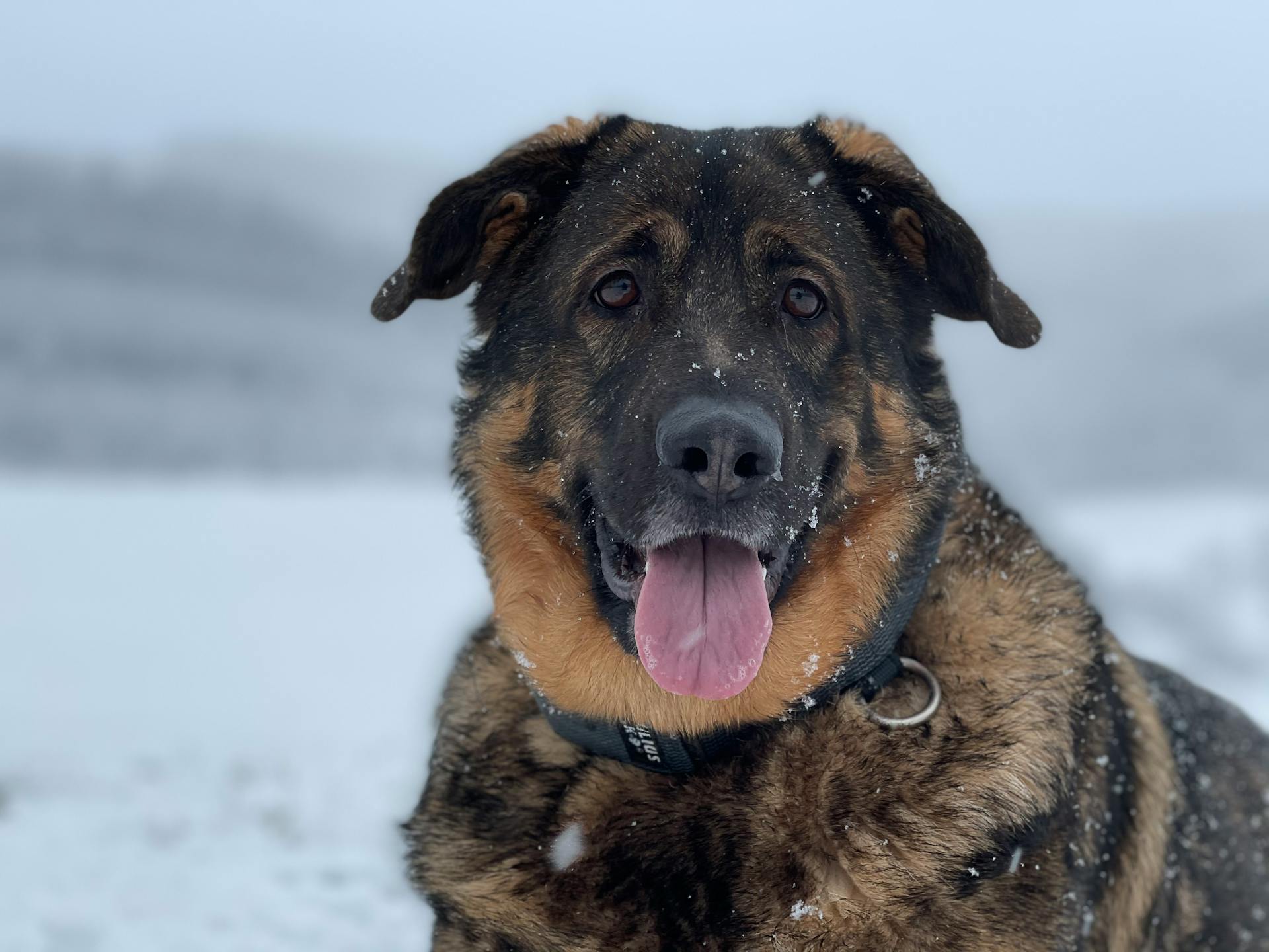 Sculptor working on stone