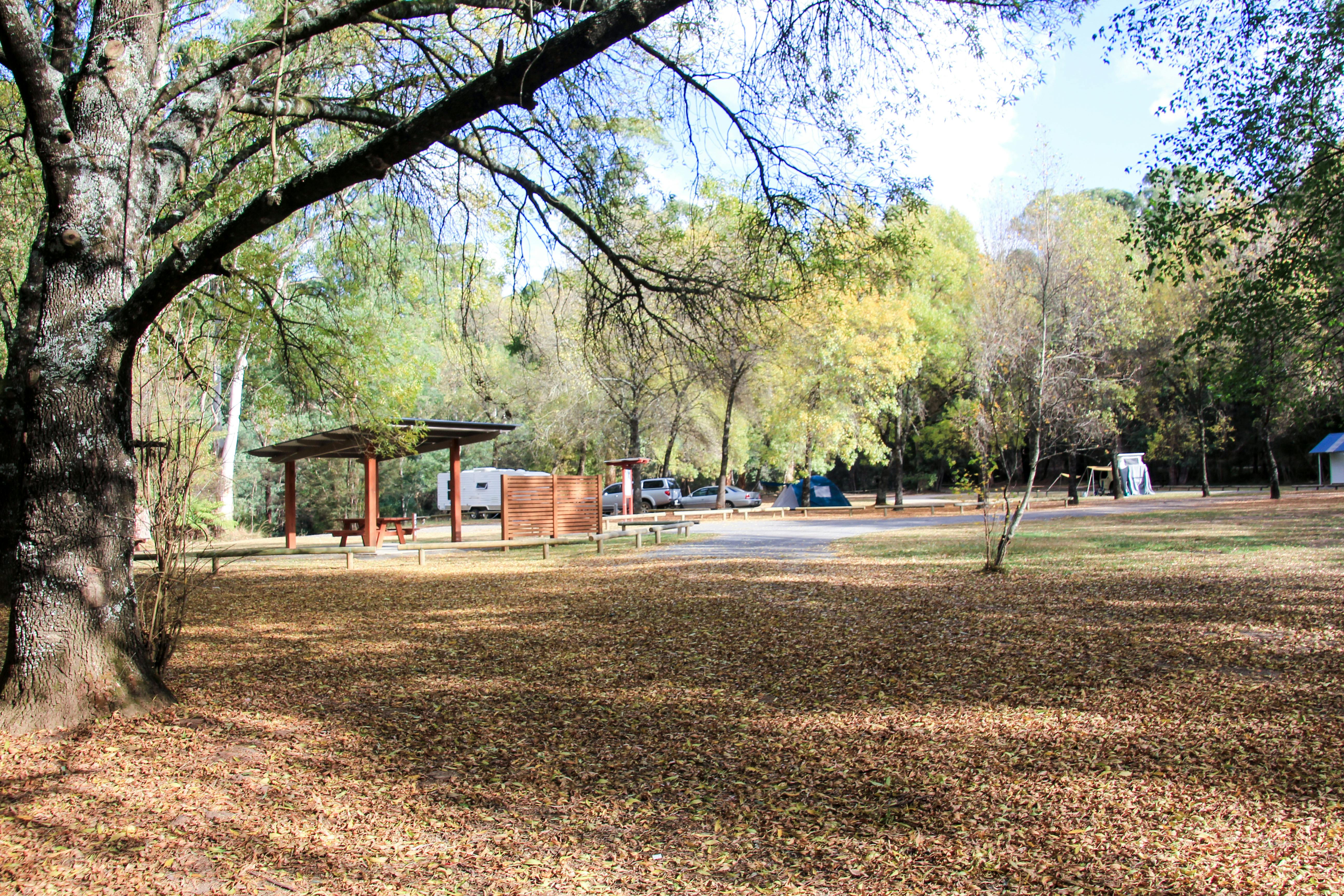 Night sky with stars symbolizing astrology and destiny