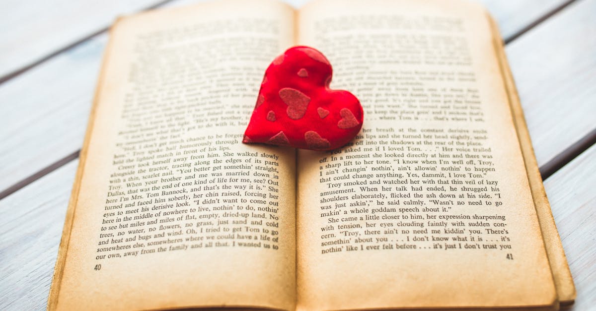 Red heart on a old opened book II