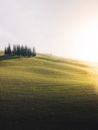 Free stock photo of agriculture, amazing, beautiful
