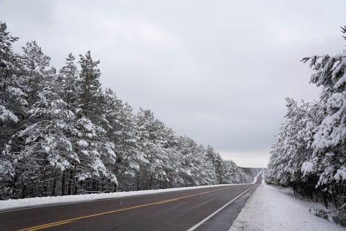 冬季, 冷冰的, 大雪覆蓋 的 免費圖庫相片