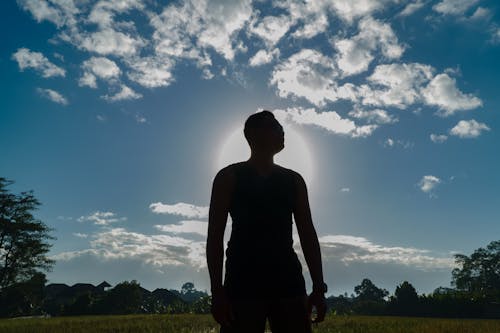 Free stock photo of early morning, nature, people