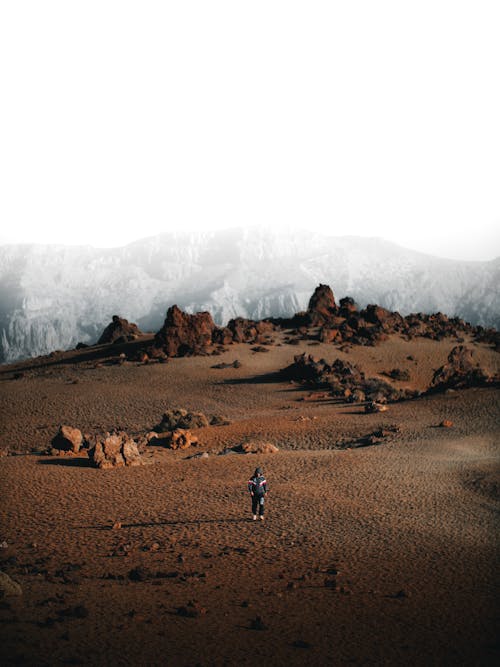 Anonymous person in uniform standing on dry ground with rocky formations against mountains against cloudy sky in daytime