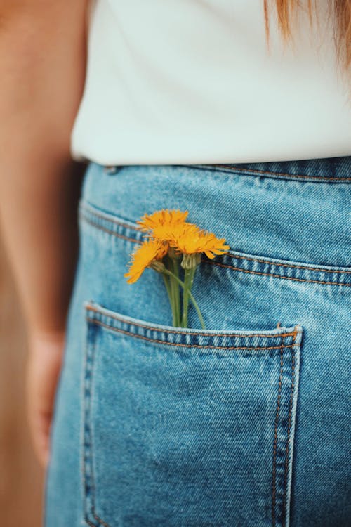 Free Yellow Flower on Blue Denim Jeans Stock Photo