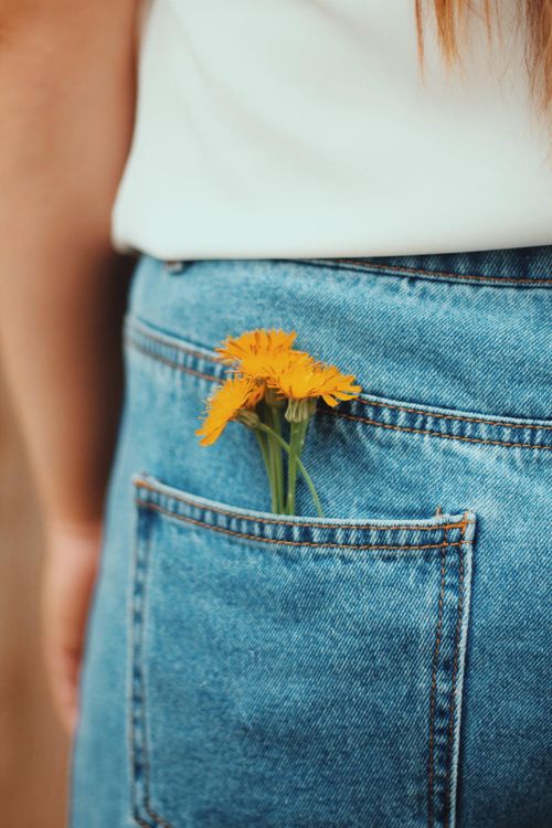Free Yellow flowers in a denim pocket for a unique and trendy fashion look. Stock Photo