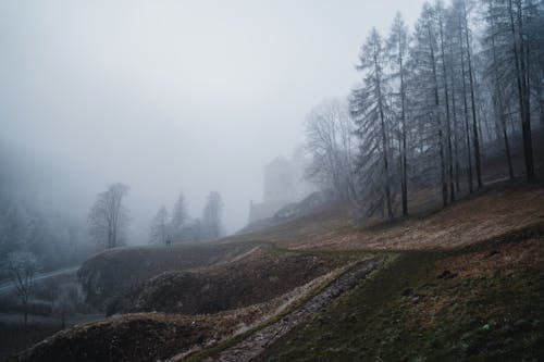 Free A Building in a Foggy Hill with Trees and Grass Stock Photo