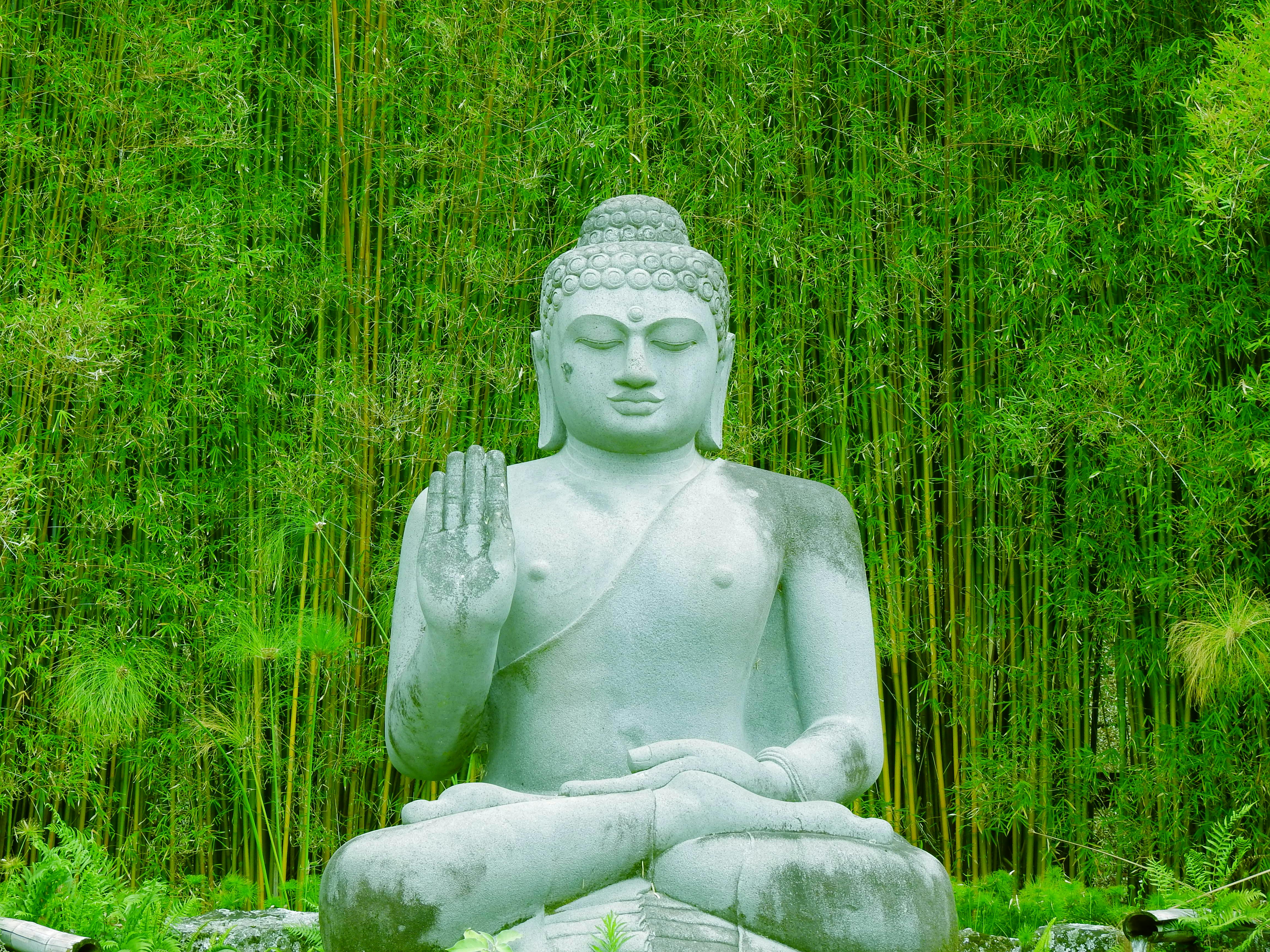 the blessing buddha at crystal castle shambhala gardens in montecollum australia