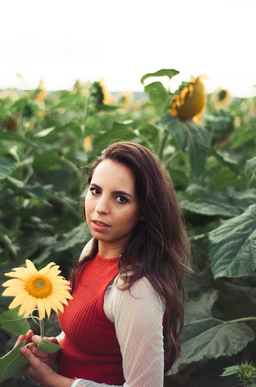 Free Young woman with blooming flower in field with sunflowers Stock Photo