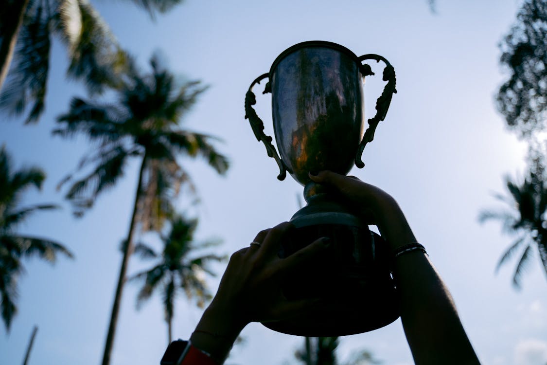 Silhouette of a trophy held up against a tropical sky with palm trees, symbolizing victory