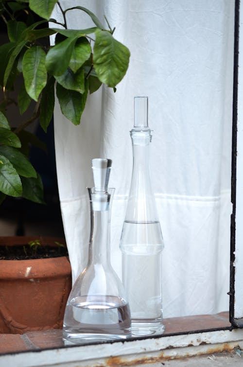 Free Long glass vessels filled with water placed on windowsill near potted plant and white curtain at daylight Stock Photo