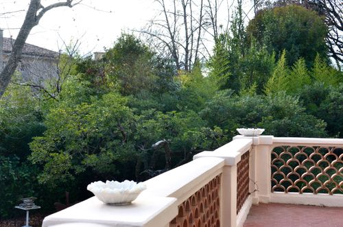 Free Picturesque view of tall green lush trees growing in yard from open white stone balcony in city Stock Photo