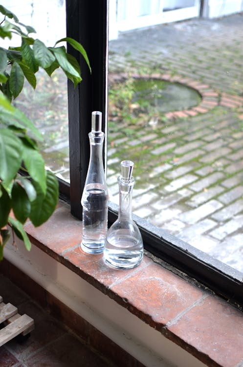 From above glass vases filled with water on windowsill located near green plant and window facing courtyard at home