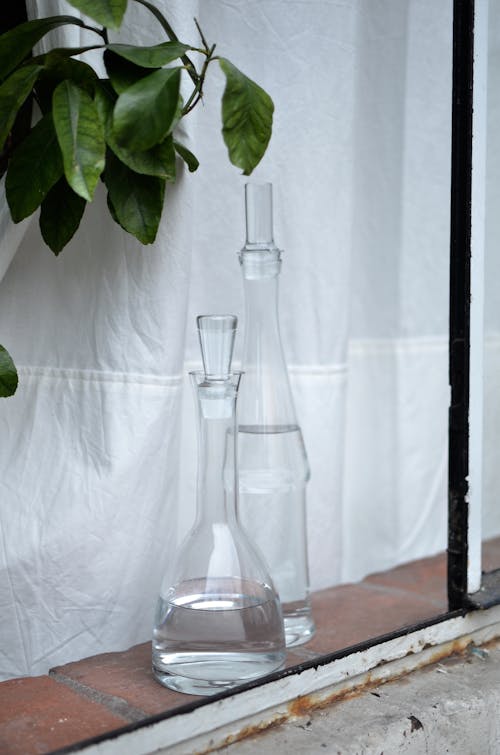 Glass jugs with water placed on brick windowsill near plant with green leaves near white curtain in room in daytime