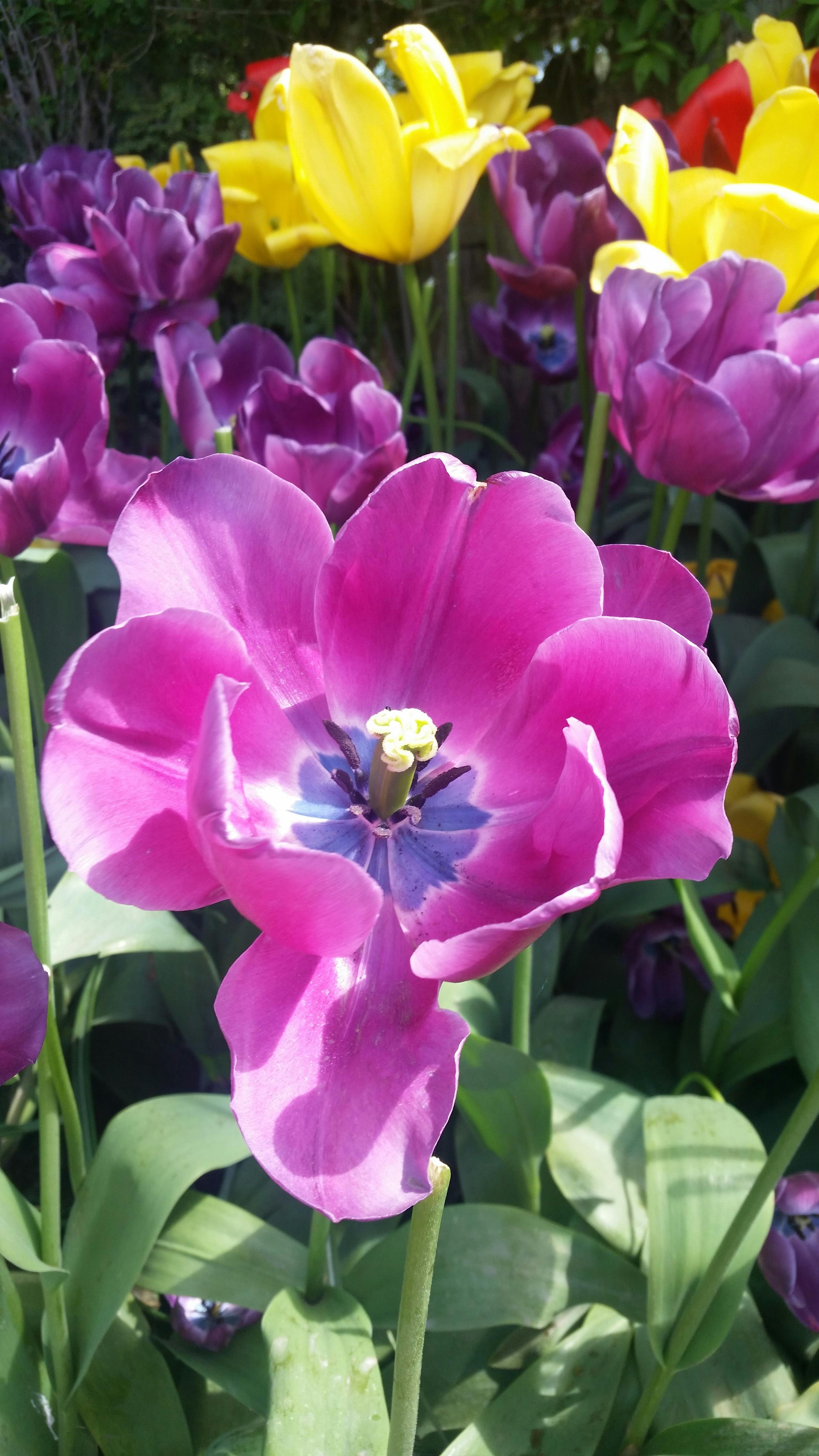 코인 정보 도구 이미지