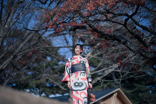 Free A young woman in traditional kimono poses under vibrant autumn trees, exuding cultural elegance. Stock Photo