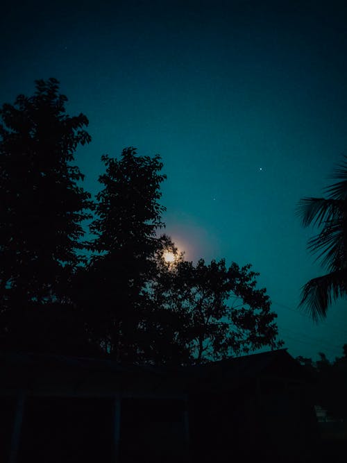 Free stock photo of midnight, moonlight, village Stock Photo