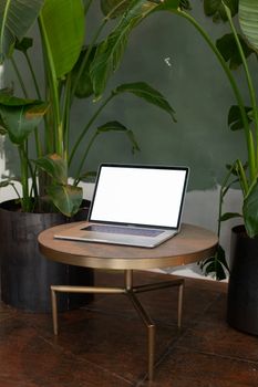 Laptop on a round table surrounded by lush green plants, perfect mockup for indoor environments.