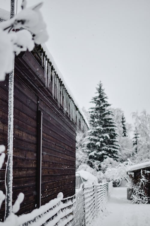 A Snow Covered Ground Near the Wooden Fence