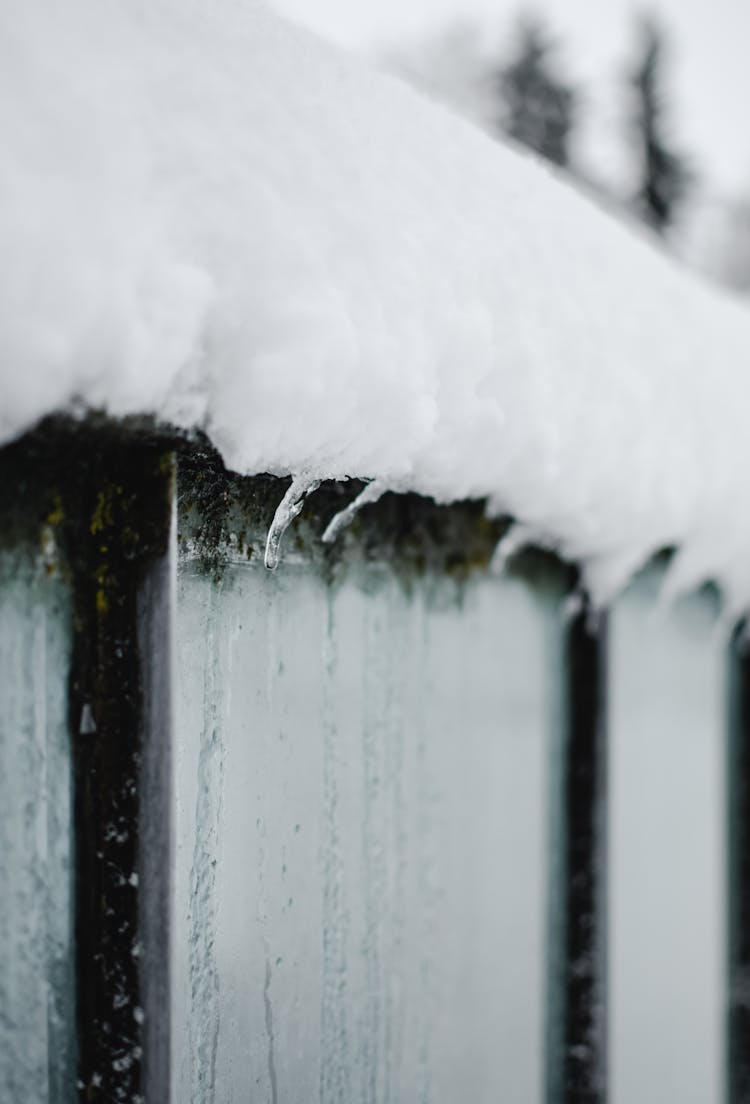 Close-up Photo Of Frozen Water 