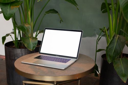 Free A modern laptop with a blank screen sits on a round table surrounded by green potted plants. Stock Photo