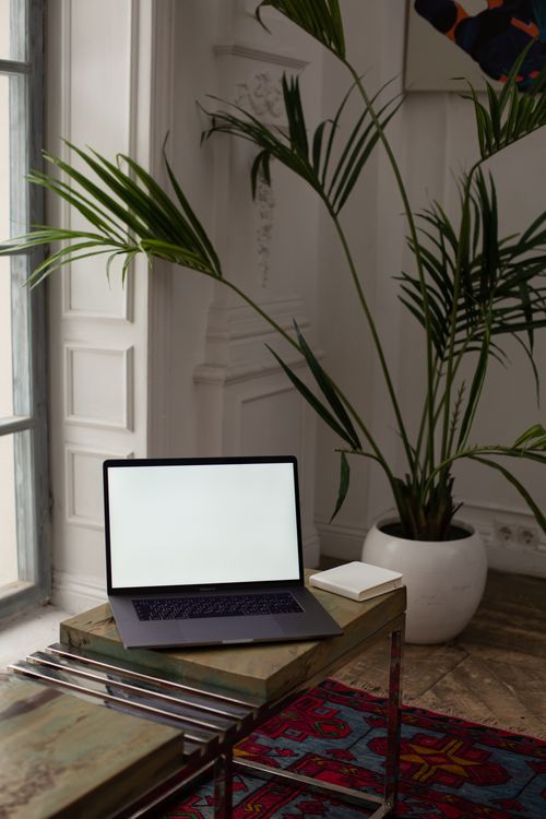 Free Minimalist indoor workspace with open laptop and potted plant. Stock Photo