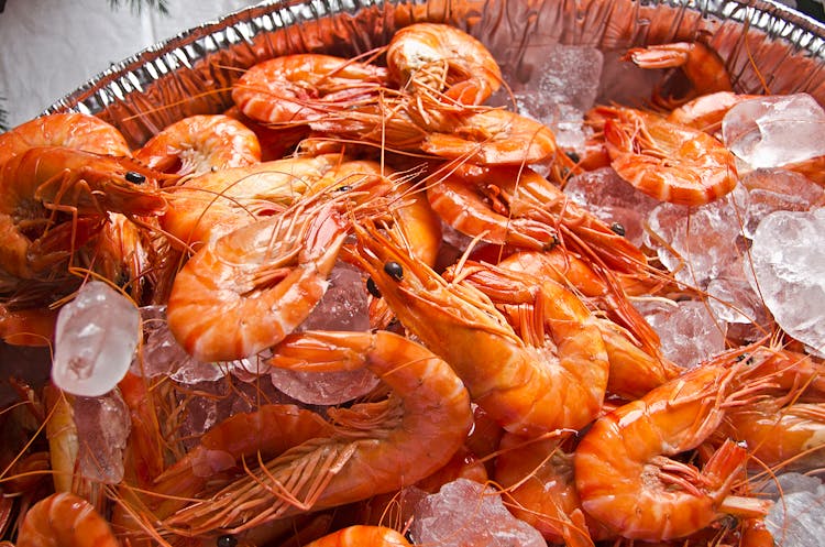 A Fresh Shrimps On Crushed Ice