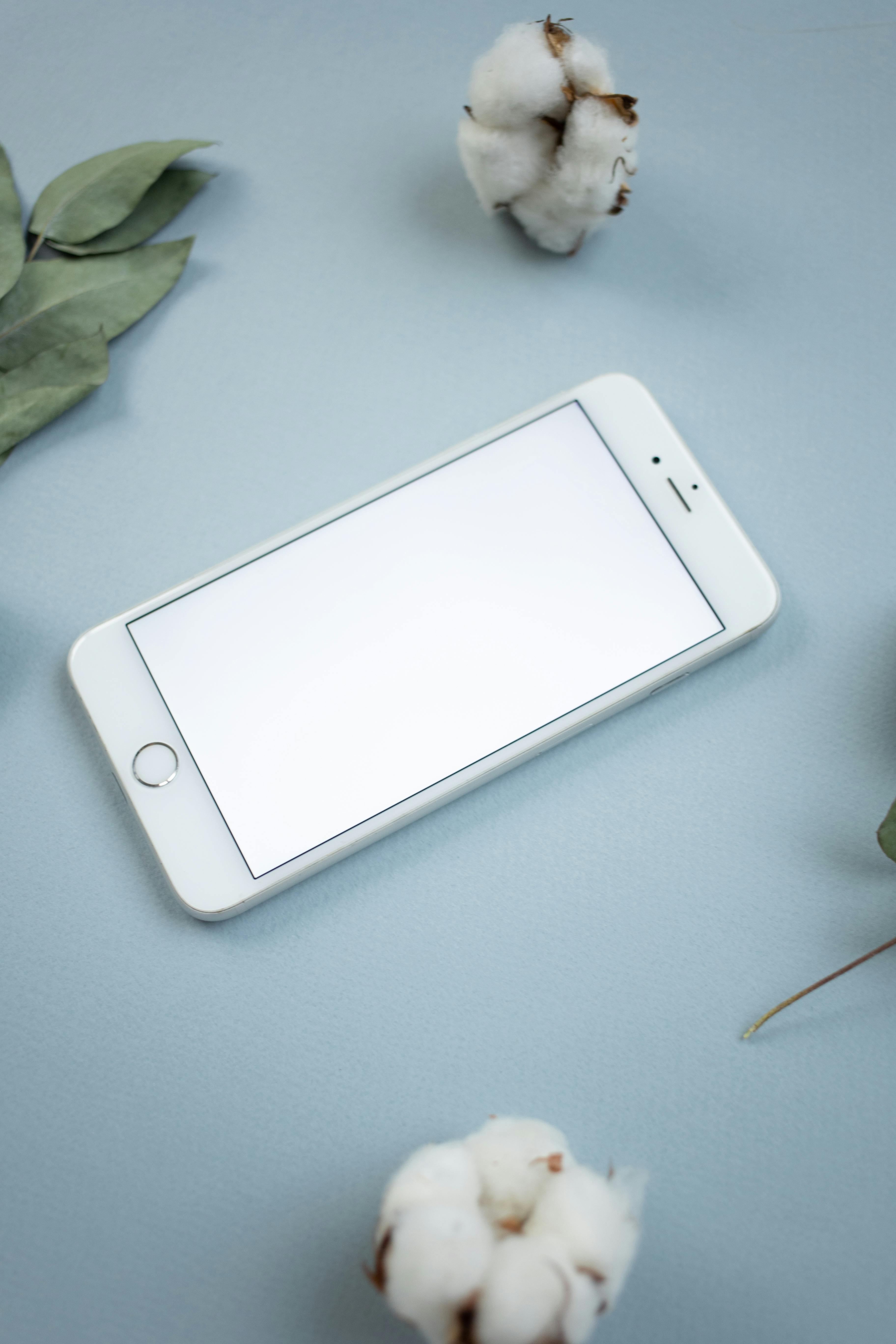Minimalist smartphone mockup with cotton flowers on a pastel blue surface, ideal for tech or lifestyle themes.