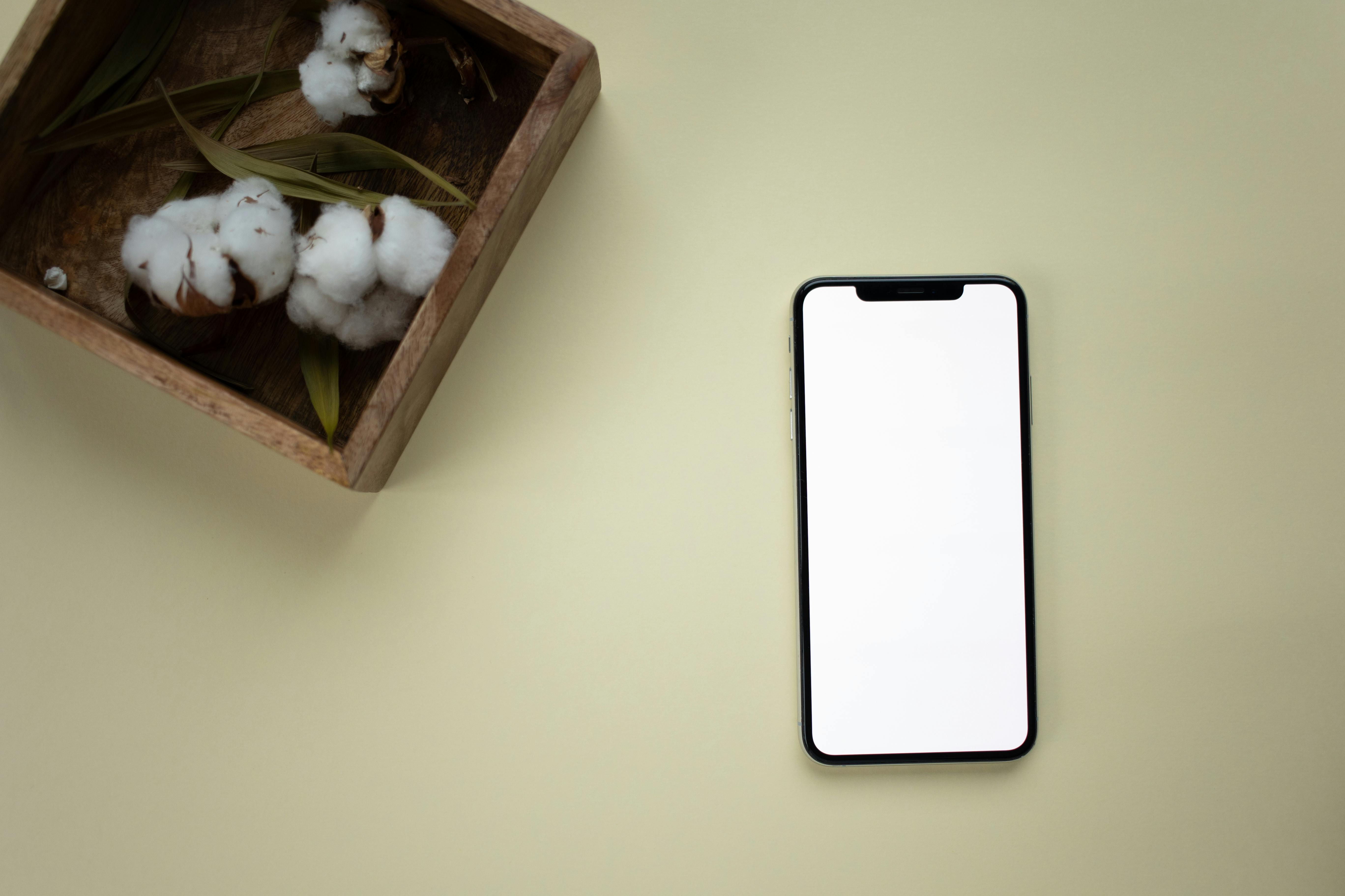 Spring Cleaning Goes Digital: ‘Brunch with Babs’ Shares Tips to Declutter Your Online Life — Photo by KATRIN  BOLOVTSOVA on P