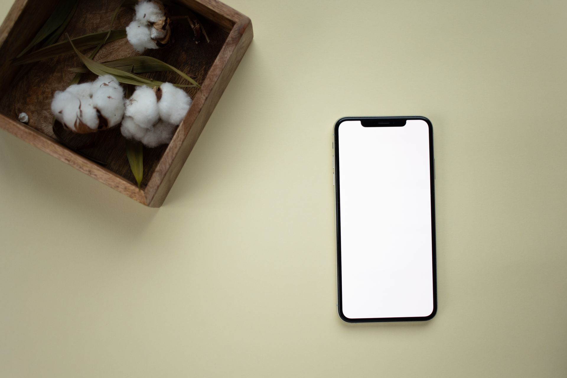 A modern smartphone with a blank screen beside a wooden box of cotton on an olive background.