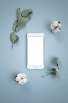 Flat lay of smartphone with cotton and leaves on a blue background creating a minimalist look.