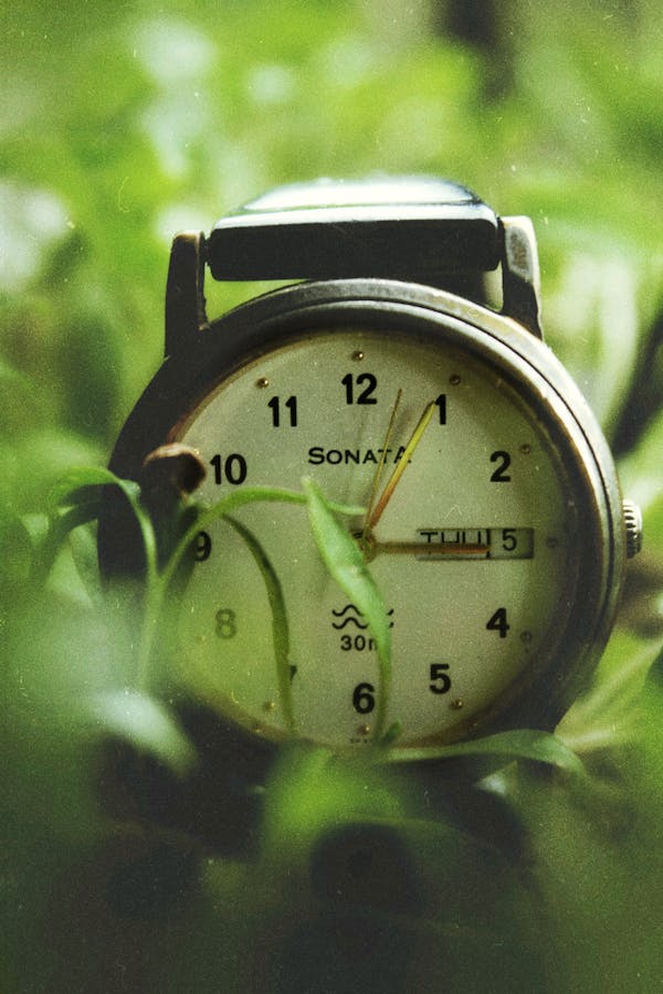 A Sonata Analogue Wristwatch in Close-up Photography