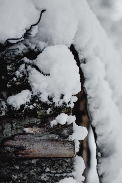 Free Close-up of snow on a wooden surface in Estonia during winter, highlighting natural textures. Stock Photo