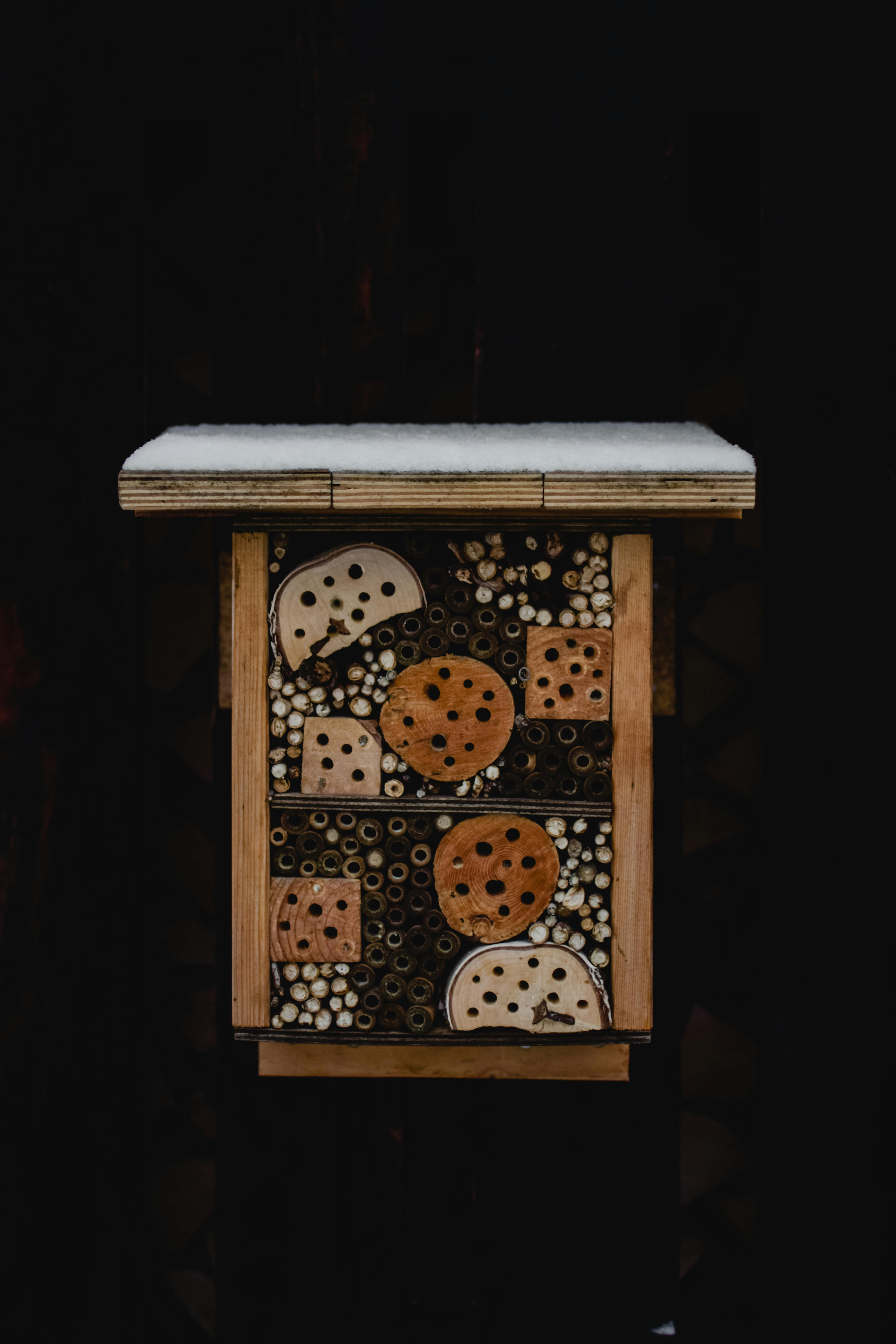A bee house with a fresh layer of snow set against a dark background, captured in Estonia.