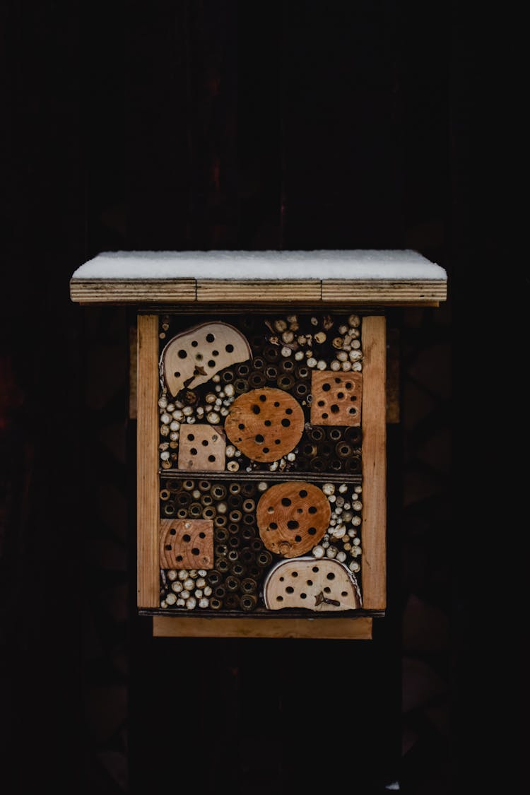 A Snow Covered Bee House In Dark Background