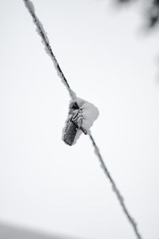 Close-up of a snow-covered clothespin on a frost-laden wire during winter in Estonia.