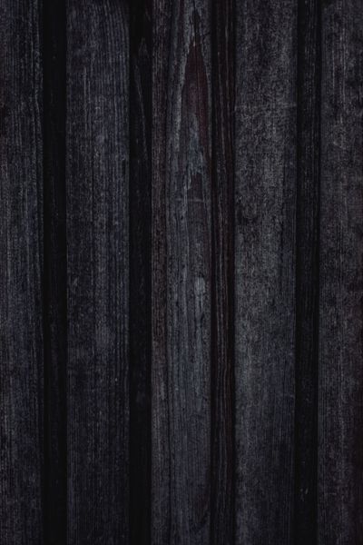 American Walnut