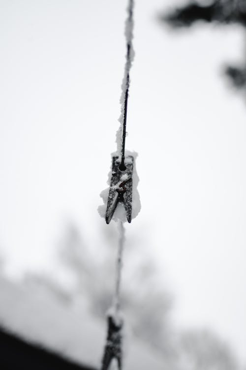 Free Snow Covered Clothes Line Stock Photo