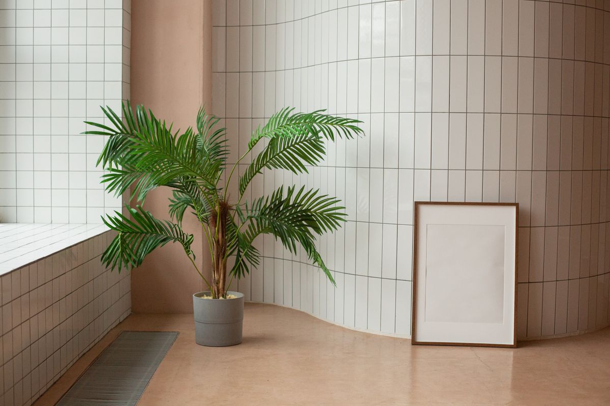 The Colour of the Year 2026 -- Wall Art Choices That Work With This Year's Direction