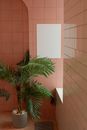 Interior of contemporary apartment with fresh verdant potted plant in building with ceramic clean tile